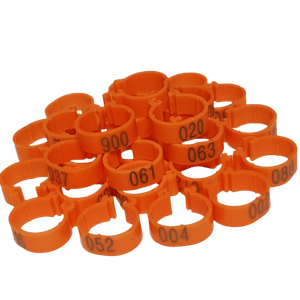 Petshop - Articole imbracaminte - Incaltaminte animale - Infinity.ro