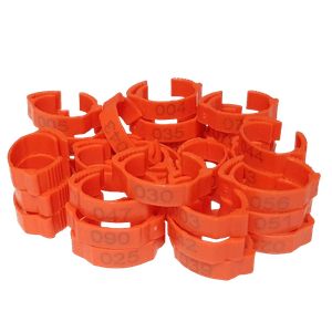 Petshop - Articole imbracaminte - Incaltaminte animale - Infinity.ro