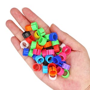 Petshop - Articole imbracaminte - Incaltaminte animale - Infinity.ro