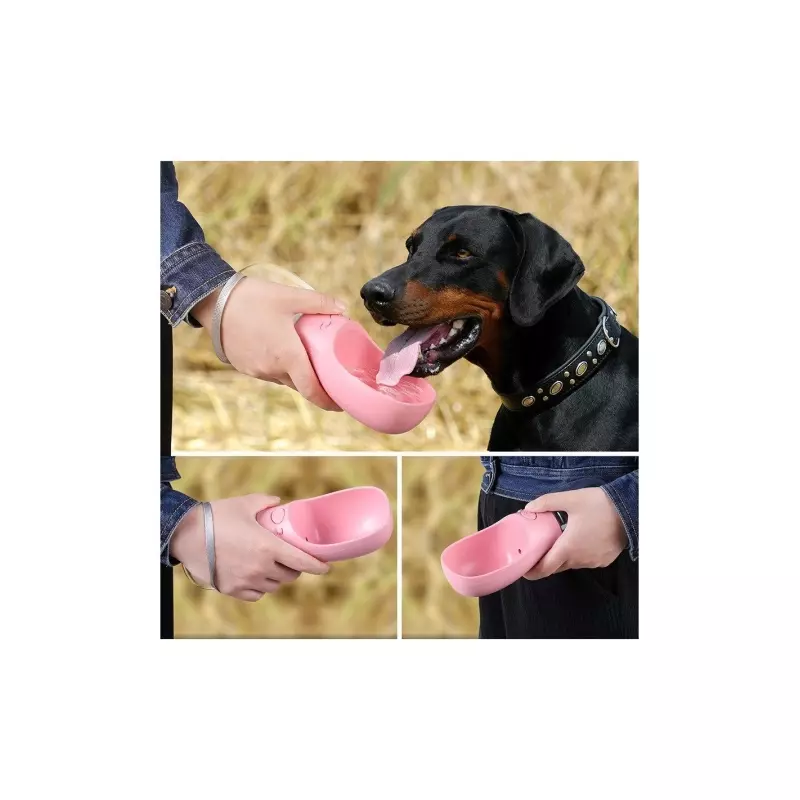Petshop - Accesorii petshop - Castroane si adapatori - Castron portabil cu sticla de apa pentru animale de companie, Gonga® Roz 550 ml - Infinity.ro
