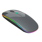 PC, gaming si accesorii - Periferice PC - Mouse - Mouse Wireless cu Incarcare USB RGB Mouse ergonomic silentios pentru laptop Bluetooth 5 si 2.4GHZ DPI Reglabil Gri ABYZ - Infinity.ro