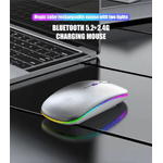 PC, gaming si accesorii - Periferice PC - Mouse - Mouse Wireless cu Incarcare USB RGB Mouse ergonomic silentios pentru laptop Bluetooth 5 si 2.4GHZ DPI Reglabil Gri ABYZ - Infinity.ro