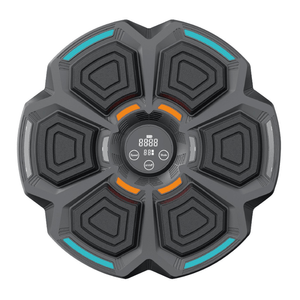 Sport si Outdoor - Sporturi de contact - Saci de box si accesorii - Infinity.ro