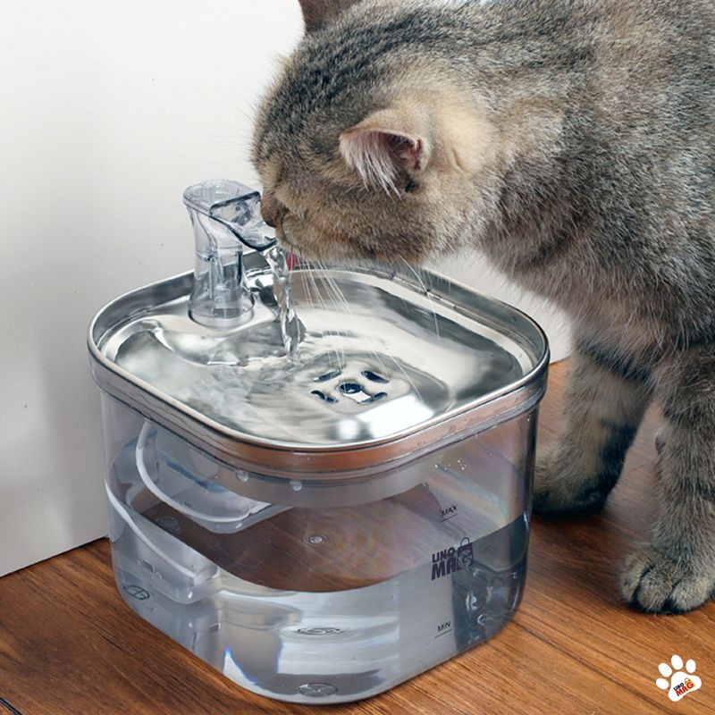 Petshop - Accesorii petshop - Castroane si adapatori - Dispenser apa automat Linomag® 2L, inox, filtrare si purificare, debit reglabil, pisici si caini, Transparent - Infinity.ro
