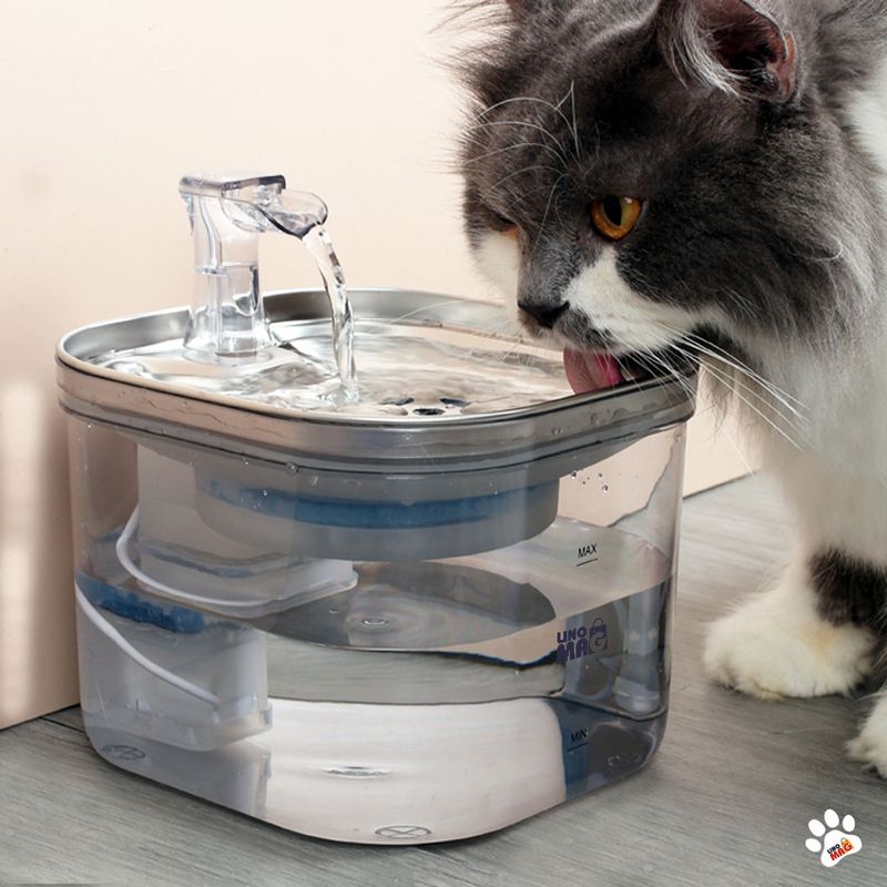 Petshop - Accesorii petshop - Castroane si adapatori - Dispenser apa automat Linomag® 2L, inox, filtrare si purificare, debit reglabil, pisici si caini, Transparent - Infinity.ro