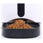 Petshop - Accesorii petshop - Castroane si adapatori - Dispenser de mancare automat PF-102 pentru animale de companie, 4.3 L, Gonga® Alb - Infinity.ro