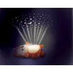 Casa si Gradina - Corpuri si surse de iluminat - Veioze si lampi - Lampi de veghe copii - Winfun proiector si lampa de veghe veverita - Infinity.ro