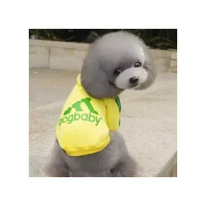 Petshop - Articole imbracaminte - Haine animale - Infinity.ro