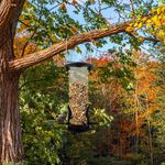 Petshop - Accesorii petshop - Culcusuri si custi - Tarcuri si colivii - Hranitor pentru pasari, 22 x 6.5 cm, transparent/negru, My Garden 1265 - Infinity.ro