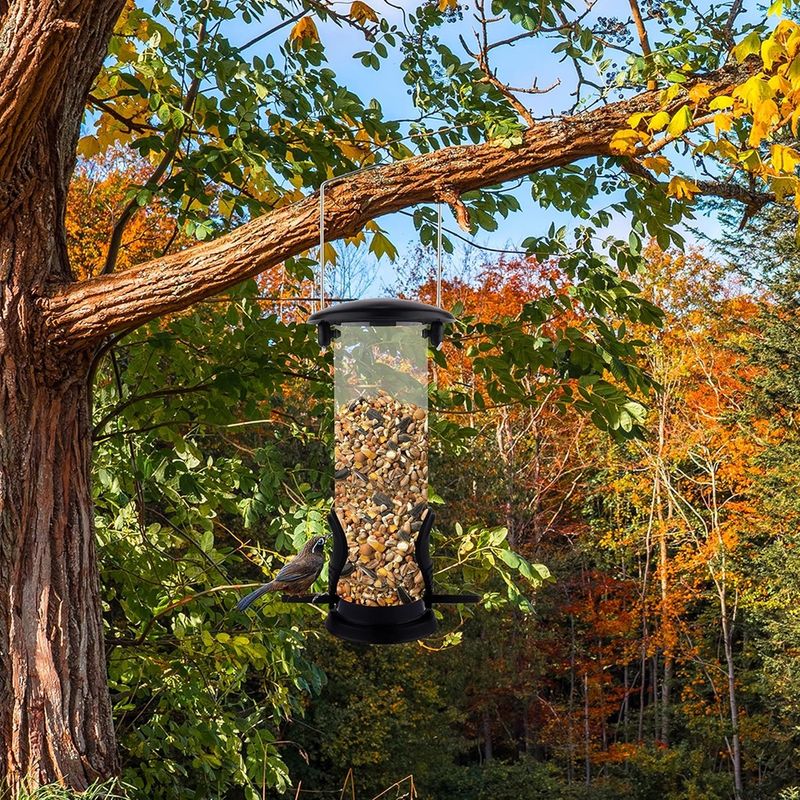 Petshop - Accesorii petshop - Culcusuri si custi - Tarcuri si colivii - Hranitor pentru pasari, 22 x 6.5 cm, transparent/negru, My Garden 1265 - Infinity.ro