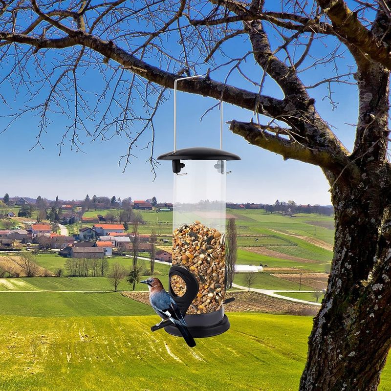 Petshop - Accesorii petshop - Culcusuri si custi - Tarcuri si colivii - Hranitor pentru pasari, 22 x 6.5 cm, transparent/negru, My Garden 1265 - Infinity.ro