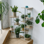 Casa si Gradina - Gradinarit si plante - Plante si ghivece - Ghivece si suporturi - Suport de flori, alb/sonoma stejar, LEDOR TIP 1 - Infinity.ro