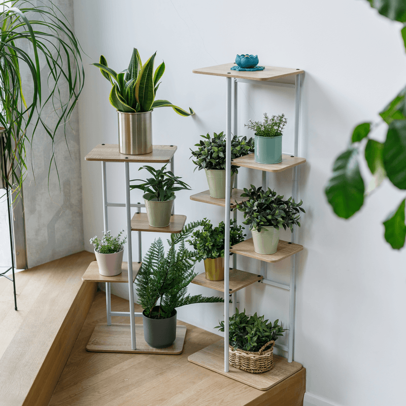 Casa si Gradina - Gradinarit si plante - Plante si ghivece - Ghivece si suporturi - Suport de flori, alb/sonoma stejar, LEDOR TIP 1 - Infinity.ro
