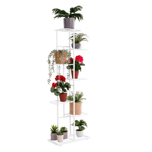 Casa si Gradina - Gradinarit si plante - Plante si ghivece - Infinity.ro