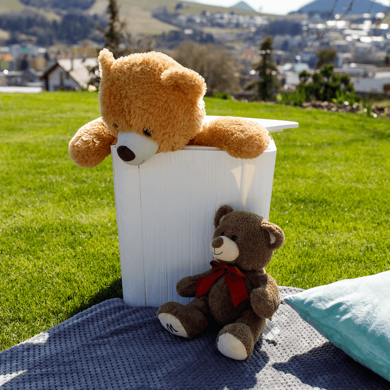 Casa si Gradina/Gradina si terasa/Mobilier exterior/Dulapuri si lazi depozitare exterior - Cutie / masa de depozitare pentru gradina, alba, IBLIS - Infinity.ro