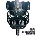 Auto si Moto - Moto - Scutere - Scuter electric tip tricicleta, Linomag®, Ideal pentru deplasari urbane, 36V, 350W, Viteza max.25 km/h, Marsarier, Negru - Infinity.ro