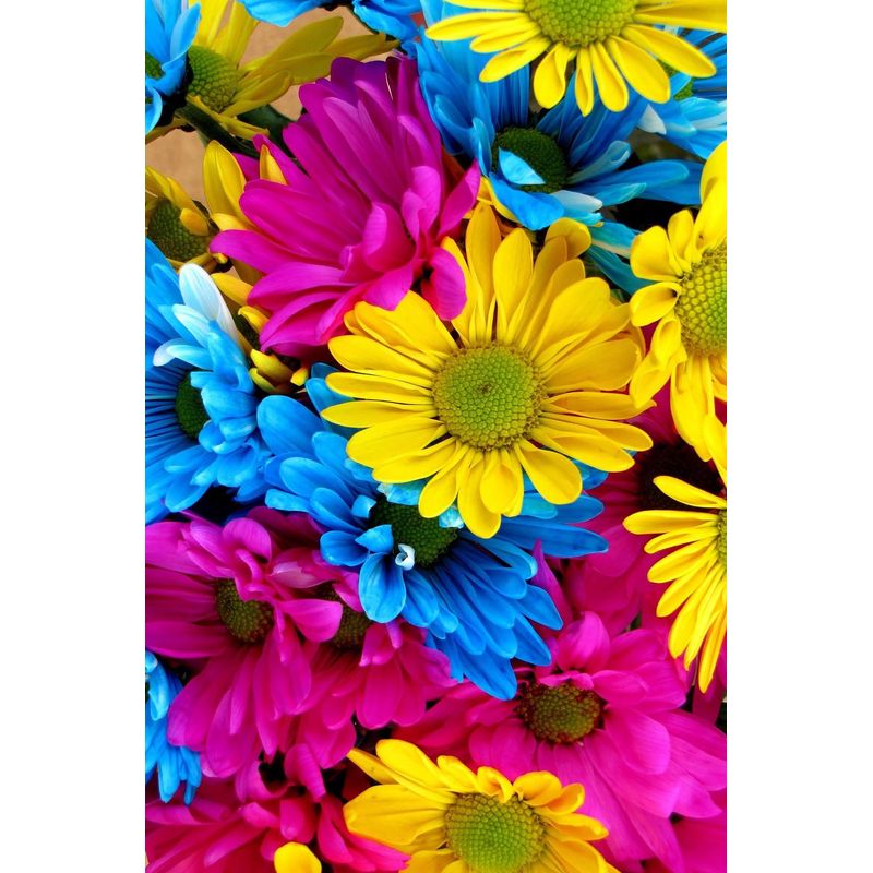 Casa si Gradina - Textile si covoare - Covoare - Covoare copii - Covor copii, Conceptum Hypnose, multicolor, 80x50 cm, 100% poliester, antiderapant, 477HFT1744 - Infinity.ro