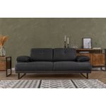 Casa si Gradina - Mobilier - Canapele si coltare - Canapele - Canapea extensibila, Hanah Home, lemn fag si PAL, antracit, 199x99x83 cm - Infinity.ro