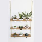 Casa si Gradina - Mobilier - Biblioteci si rafturi - Rafturi - Raft de perete, Hanah Home, lemn de molid, nuc, 60x13x1.3 cm - Infinity.ro