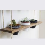 Casa si Gradina - Mobilier - Biblioteci si rafturi - Rafturi - Raft de perete, Hanah Home, lemn de molid, nuc, 60x13x1.3 cm - Infinity.ro