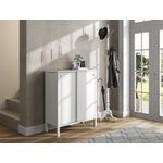 Casa si Gradina - Mobilier - Dulapuri si sifoniere - Dulapuri pantofi - Dulap pantofi, Hanah Home, pal melaminat, lemn si alb, 92x38x106 cm - Infinity.ro
