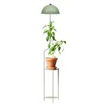 Casa si Gradina - Corpuri si surse de iluminat - Veioze si lampi - Lampadare - Lampadar, Opviq, metal, menta, 135 cm - Infinity.ro