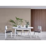 Casa si Gradina - Mobilier - Seturi de mobilier - Seturi mese si scaune - Set masa extensibila cu 4 scaune, Hanah Home, lemn de fag, alb, masa 127x70x75 cm - Infinity.ro