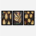 Casa si Gradina - Decoratiuni - Tablouri - Tablou decorativ cu rama, Wallxpert, mdf, multicolor, 35x45 cm, set 3 bucati, 364LUL1372 - Infinity.ro