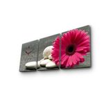 Casa si Gradina - Decoratiuni - Ceasuri - Ceas decorativ de perete, Wallxpert, panza velurata, multicolor, 96x40 cm, set 3 piese - Infinity.ro