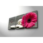 Casa si Gradina - Decoratiuni - Ceasuri - Ceas decorativ de perete, Wallxpert, panza velurata, multicolor, 96x40 cm, set 3 piese - Infinity.ro