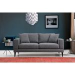 Casa si Gradina - Mobilier - Canapele si coltare - Canapele - Canapea 2 locuri, Hanah Home, lemn fag si pal, gri inchis, 180x90x85 cm - Infinity.ro
