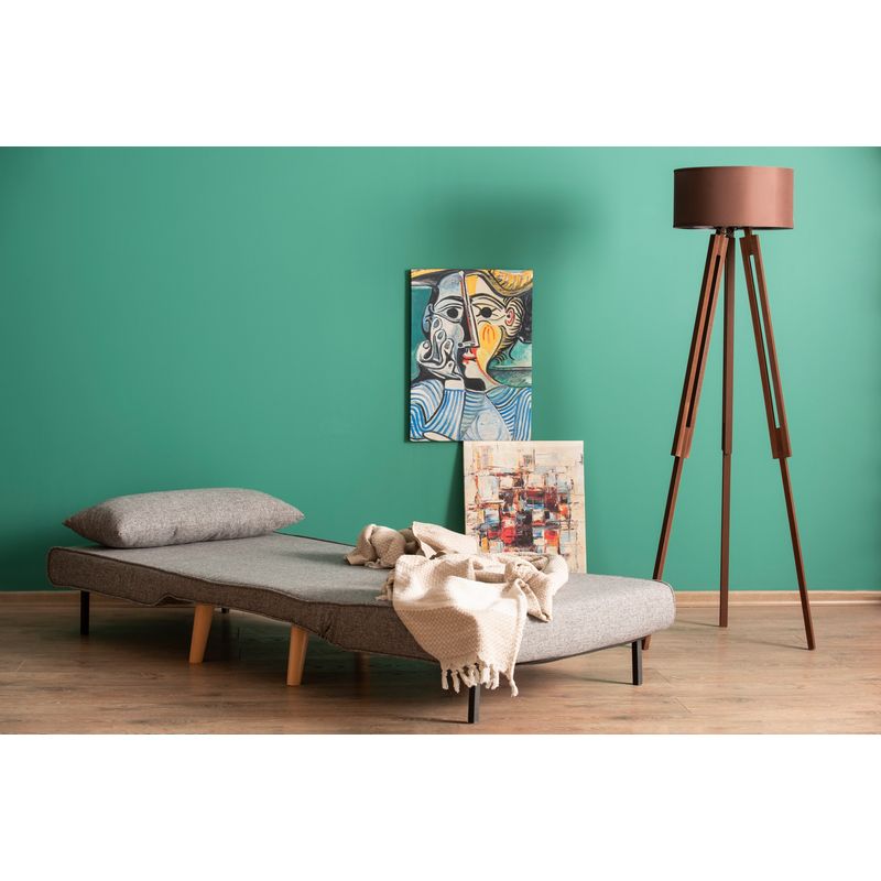 Casa si Gradina - Mobilier - Canapele si coltare - Canapele - Canapea extensibila, Hanah Home, metal, gri deschis, 180x80 cm - Infinity.ro