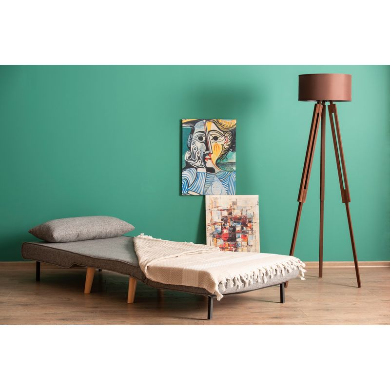 Casa si Gradina - Mobilier - Canapele si coltare - Canapele - Canapea extensibila, Hanah Home, metal, gri deschis, 180x80 cm - Infinity.ro
