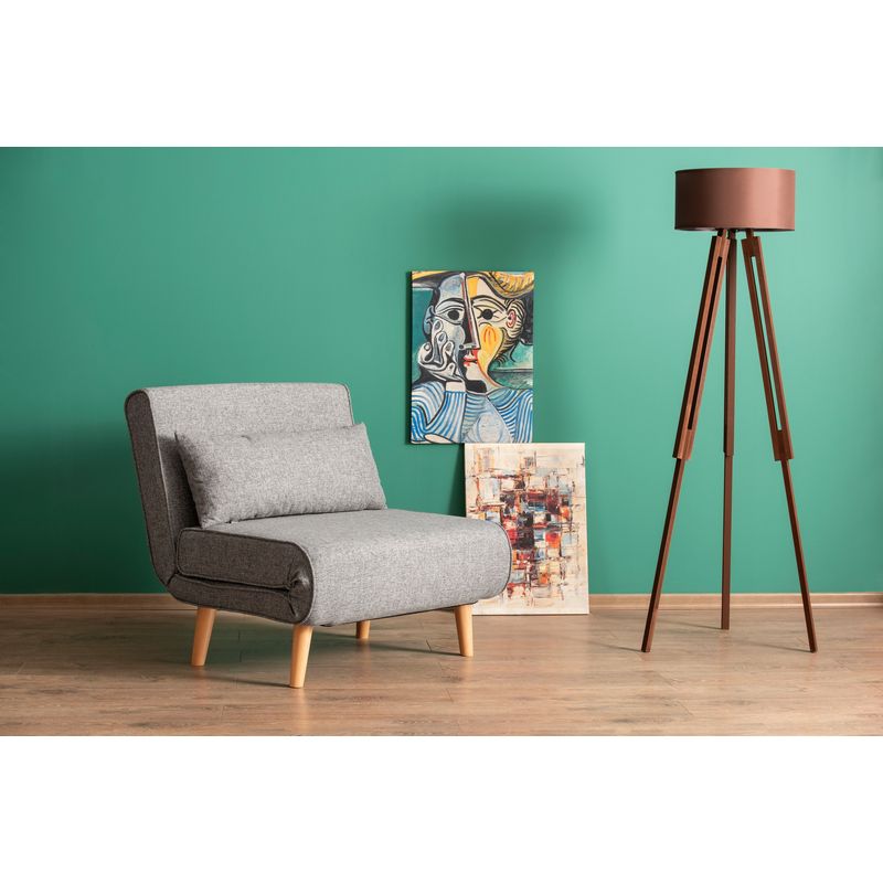 Casa si Gradina - Mobilier - Canapele si coltare - Canapele - Canapea extensibila, Hanah Home, metal, gri deschis, 180x80 cm - Infinity.ro