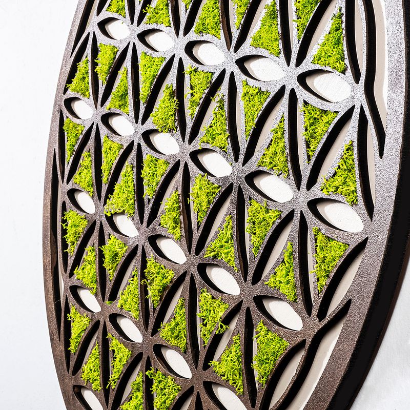 Casa si Gradina - Decoratiuni - Decoratiuni perete - Accesoriu decorativ de perete, Wallxpert, mdf si muschi, verde maro alb, 44x1.6x44 cm - Infinity.ro