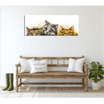 Casa si Gradina - Decoratiuni - Tablouri - Tablou canvas decorativ, Wallxpert, multicolor, 30x80 cm, 60% bumbac, 40% poliester, rama lemn - Infinity.ro