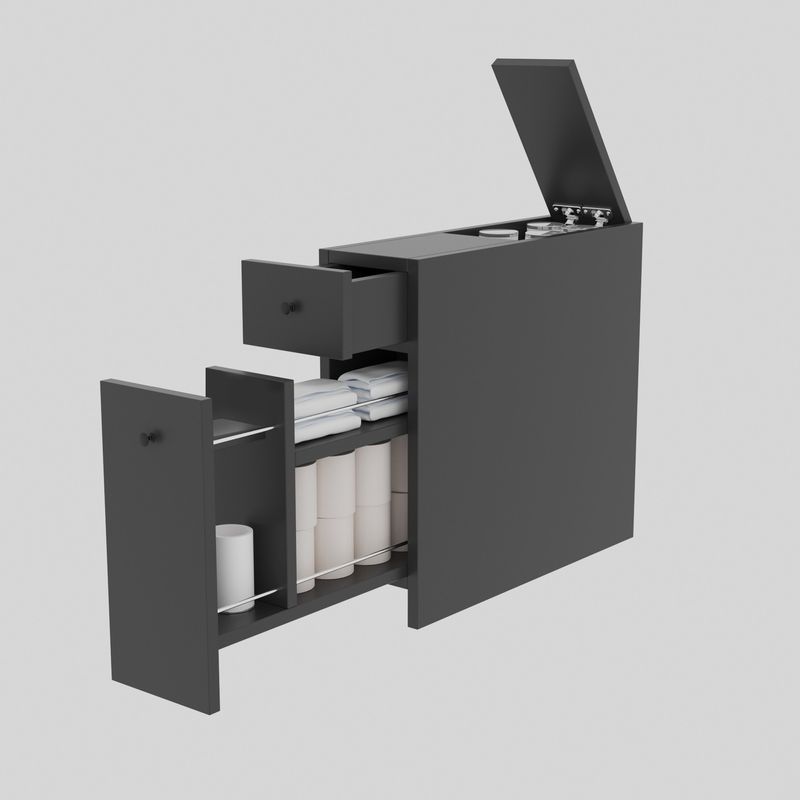 Casa si Gradina - Mobilier - Mobilier baie - Comode baie - Comoda baie, Hanah Home, pal melaminat, antracit, 20x55x60 cm - Infinity.ro