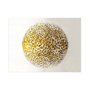 Tablou decorativ pe panza, Wallxpert, multicolor, 70x100 cm, 100% panza, rama lemn, 441HPE2697