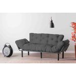 Casa si Gradina - Mobilier - Canapele si coltare - Canapele - Canapea extensibila, Hanah Home, metal si poliester, gri, 185x85x70 cm - Infinity.ro