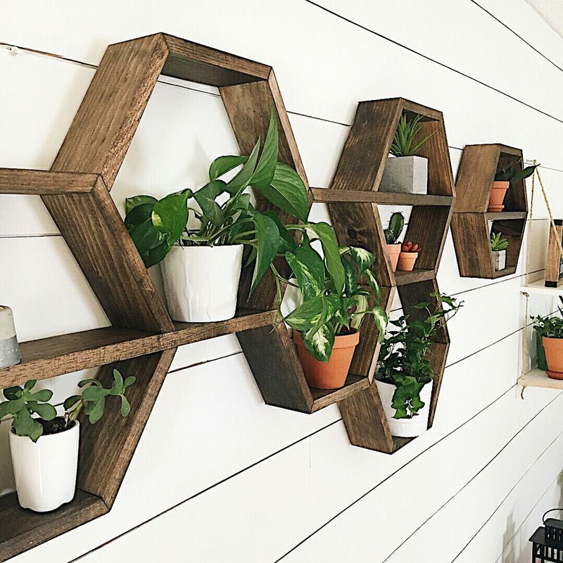 Casa si Gradina - Mobilier - Biblioteci si rafturi - Etajere - Etajera de perete, Hanah Home, lemn masiv, nuc, 40x37x10 cm, set 6 bucati - Infinity.ro