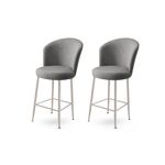 Casa si Gradina - Mobilier - Scaune si fotolii - Tabureti - Set taburete bar, Hanah Home, metal, crem crom, 46x40x102 cm - Infinity.ro