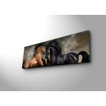 Casa si Gradina - Electrice - Tablouri electrice si accesorii - Tablou decorativ cu led, Wallxpert, panza piele de caprioara, multicolor, 30x90 cm, 239SHN3219 - Infinity.ro