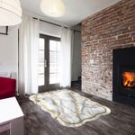 Casa si Gradina - Textile si covoare - Covoare - Covorase intrare - Covoras de hol, Conceptum Hypnose, gri, 80x300 cm, 100% poliester, antiderapant - Infinity.ro