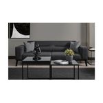 Casa si Gradina - Mobilier - Canapele si coltare - Canapele - Canapea extensibila, Atelier Del Sofa, lemn fag, antracit, 222x92x74 cm - Infinity.ro