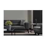 Casa si Gradina - Mobilier - Canapele si coltare - Canapele - Canapea extensibila, Atelier Del Sofa, lemn fag, antracit, 222x92x74 cm - Infinity.ro