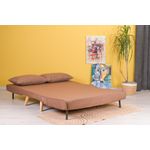 Casa si Gradina - Mobilier - Canapele si coltare - Canapele - Canapea extensibila, Hanah Home, metal si poliester, maro, 120x79x80 cm - Infinity.ro