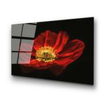 Casa si Gradina - Decoratiuni - Tablouri - Tablou decorativ, Wallxpert, sticla calita, multicolor, 70x100 cm, 123BZM1267 - Infinity.ro