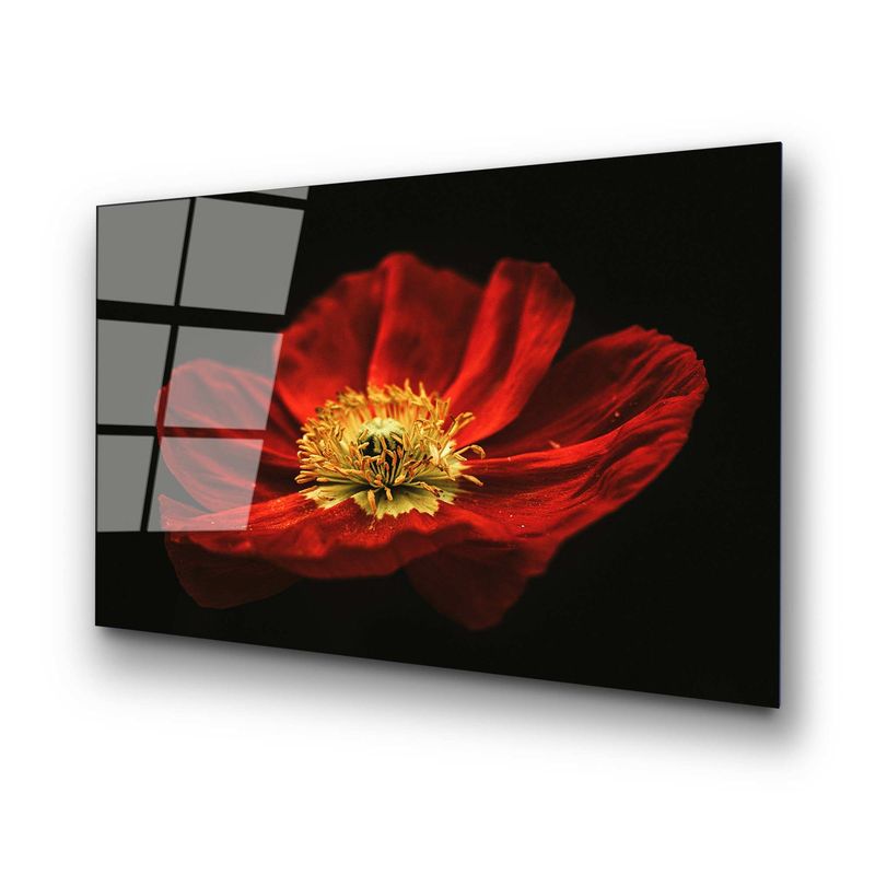 Casa si Gradina - Decoratiuni - Tablouri - Tablou decorativ, Wallxpert, sticla calita, multicolor, 70x100 cm, 123BZM1267 - Infinity.ro