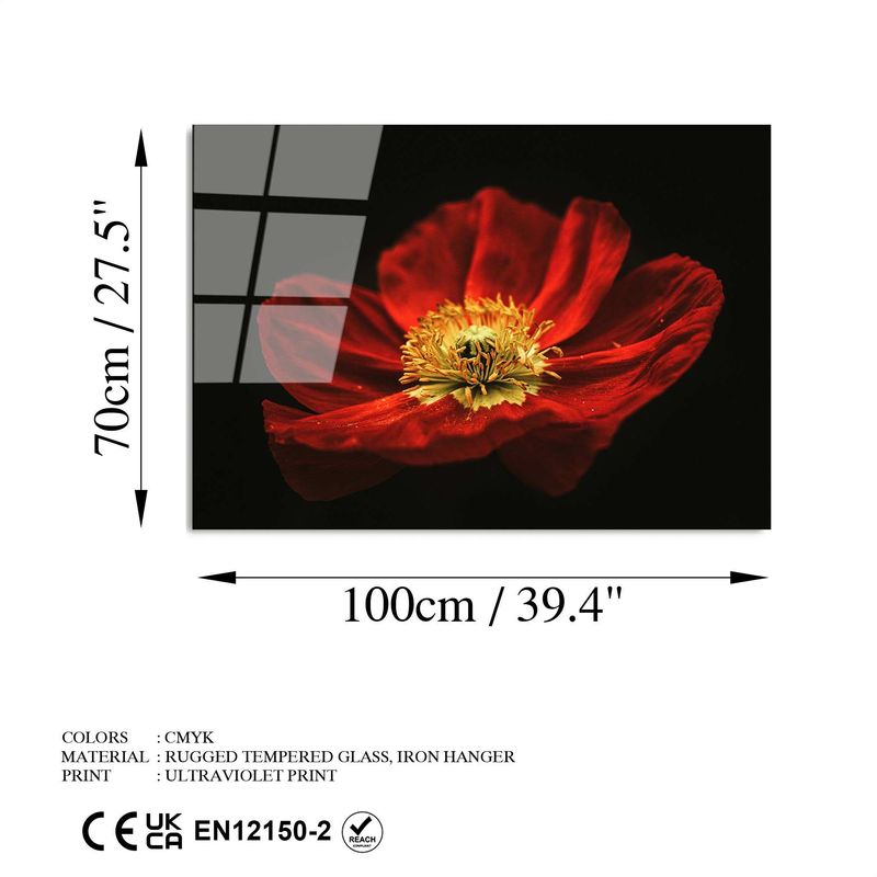 Casa si Gradina - Decoratiuni - Tablouri - Tablou decorativ, Wallxpert, sticla calita, multicolor, 70x100 cm, 123BZM1267 - Infinity.ro