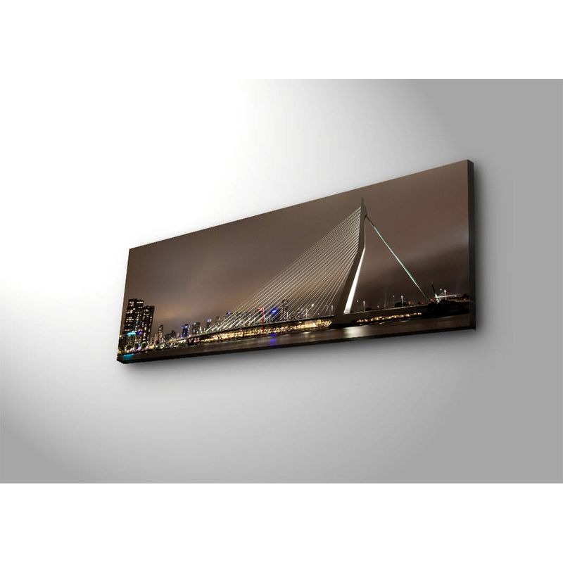 Casa si Gradina - Decoratiuni - Tablouri - Tablou canvas decorativ cu led, Wallxpert, piele de caprioara, multicolor, 30x90 cm, 239SHN3257 - Infinity.ro
